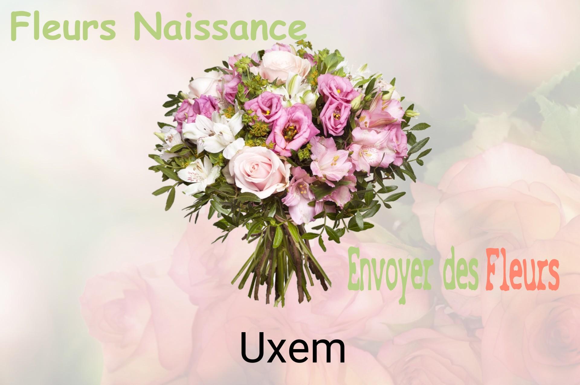 Bouquet de fleurs de naissance livré à Uxem