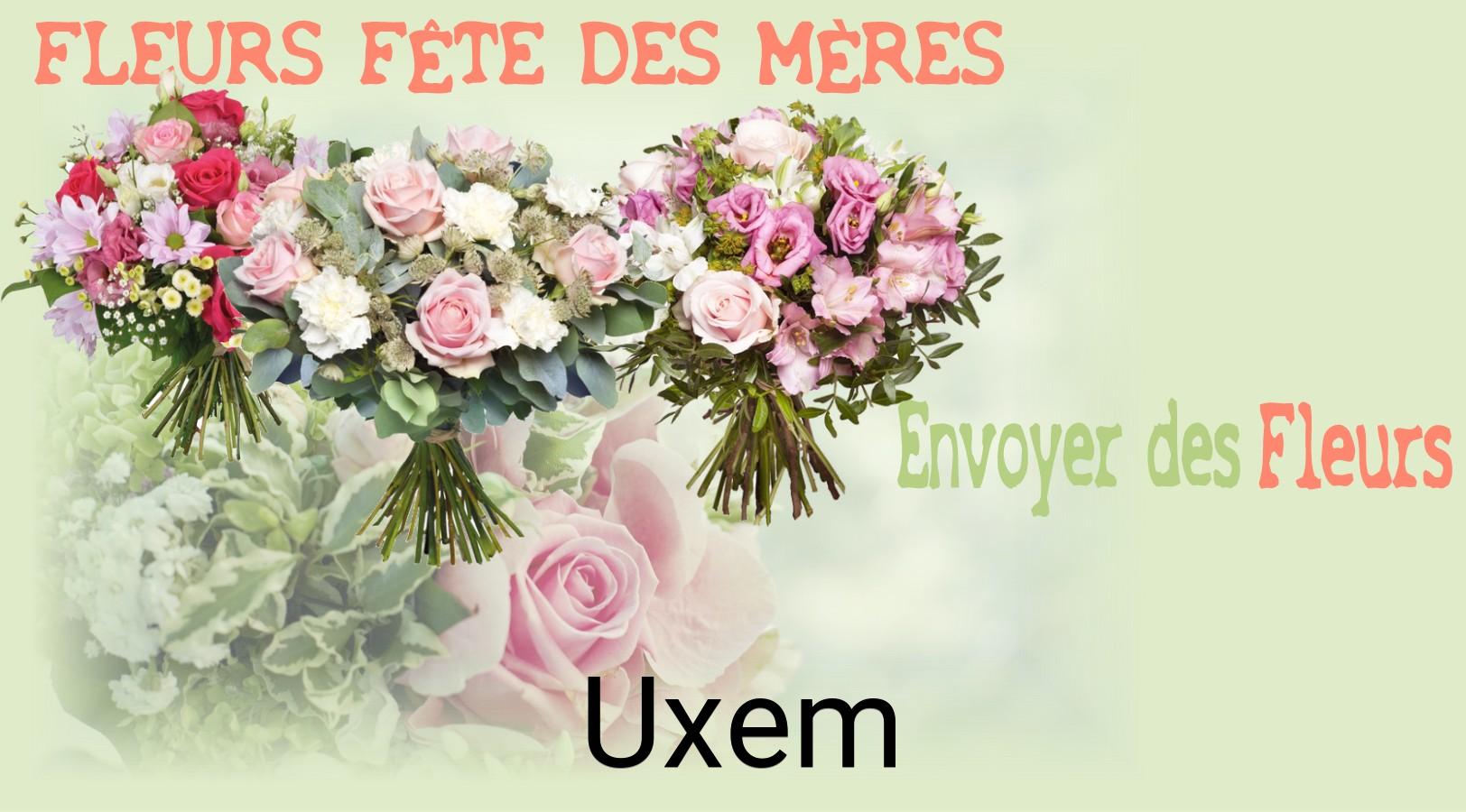 Bouquet de Fête des Mères livré à Uxem